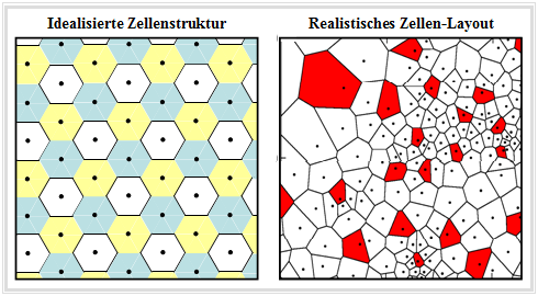 Zellulare Netzstruktur